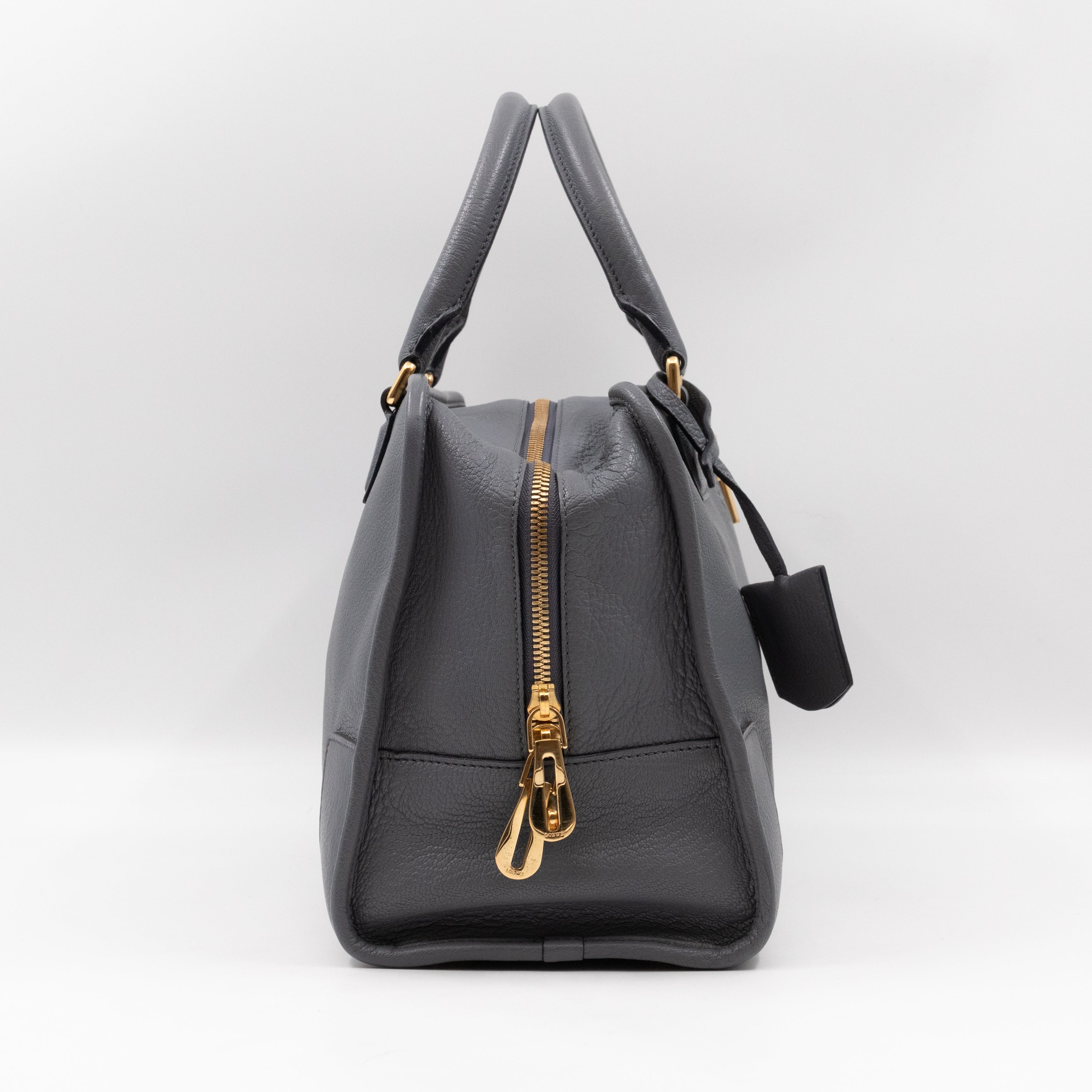 Amazona 36 Handbag Grey Leather