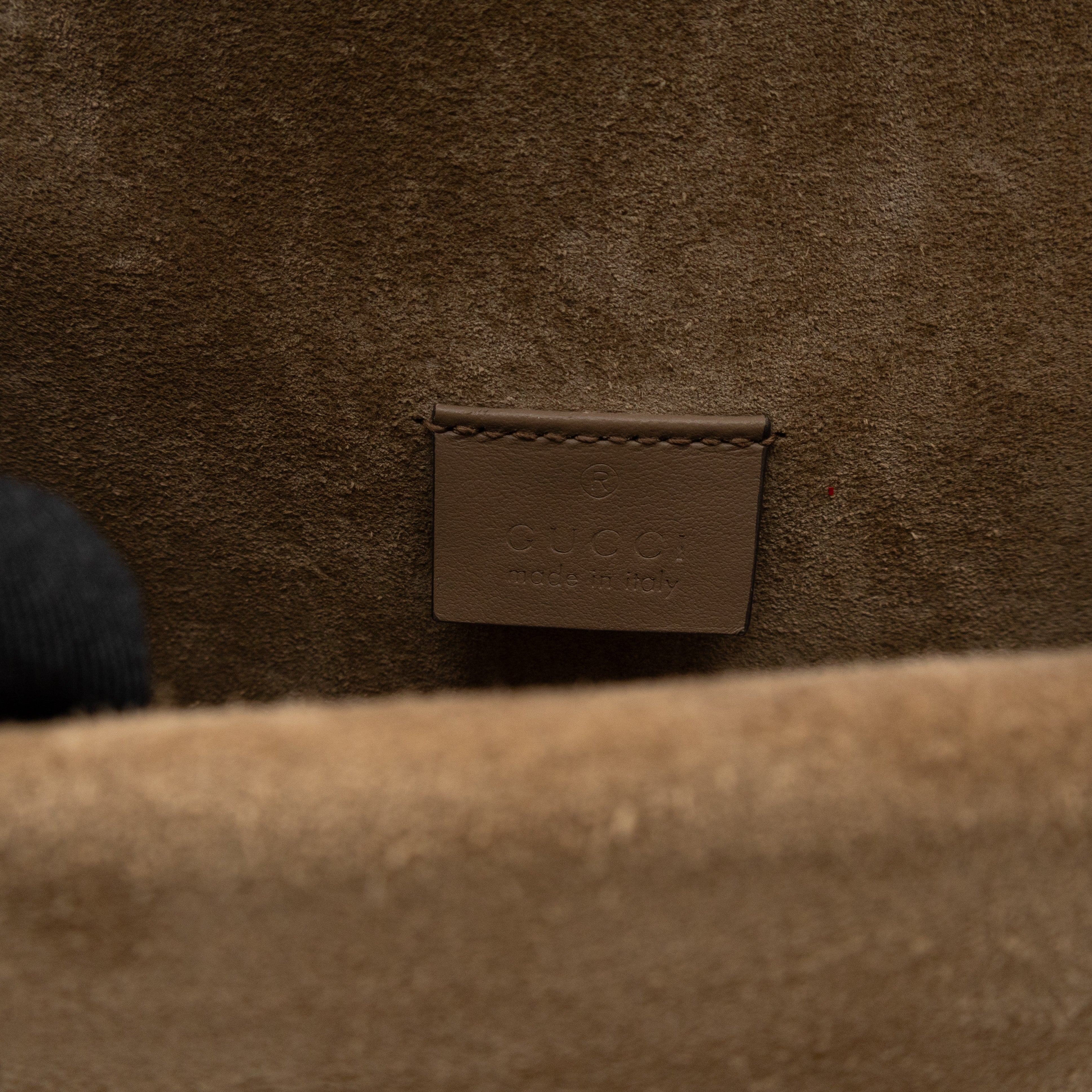 Dionysus Mini GG Supreme Brown Suede