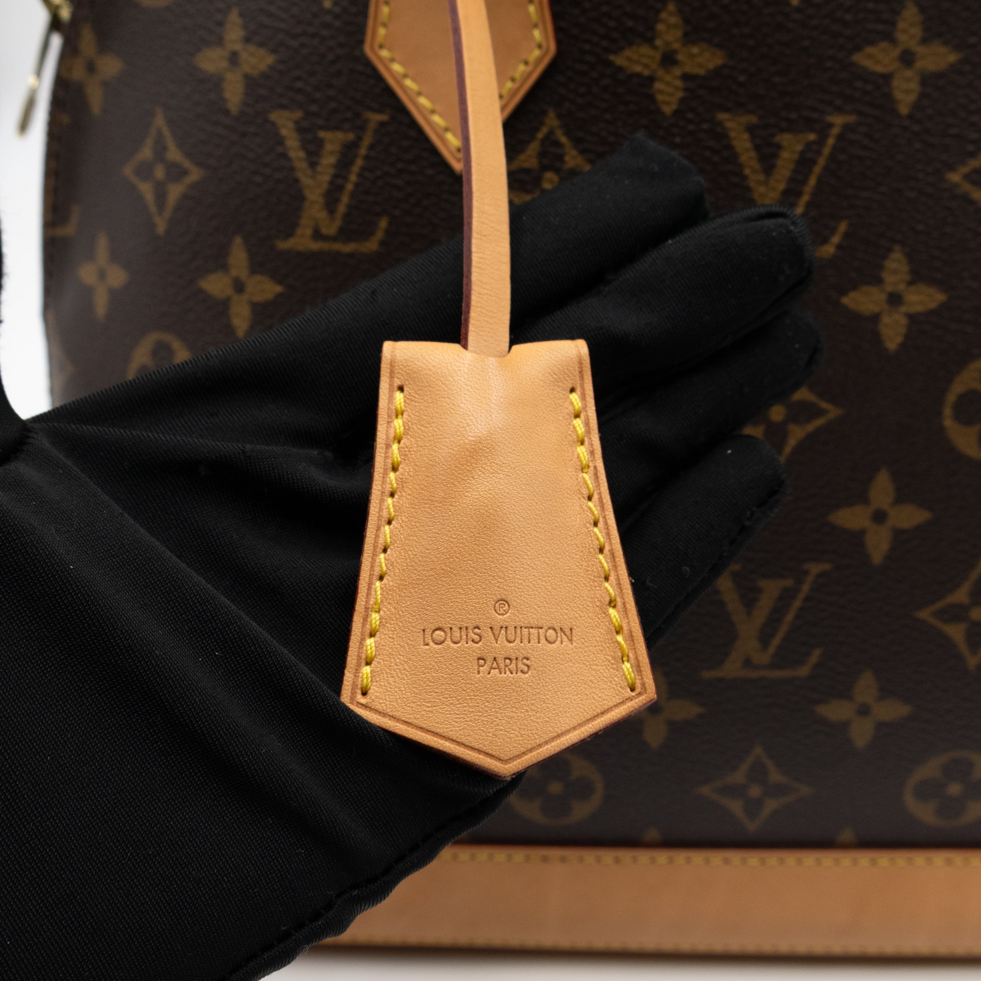 Alma PM Monogram