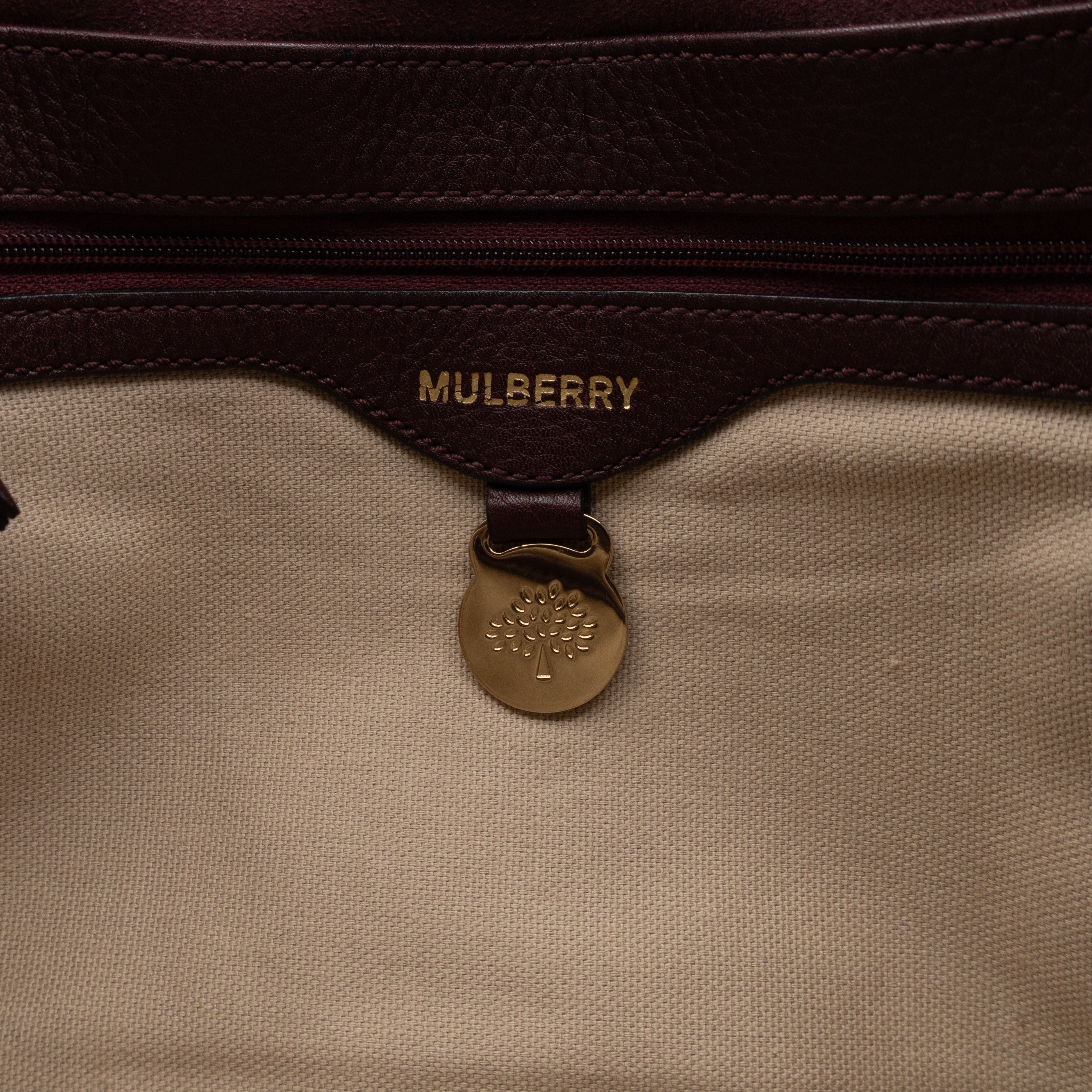 Tessie Crossbody Oxblood Leather