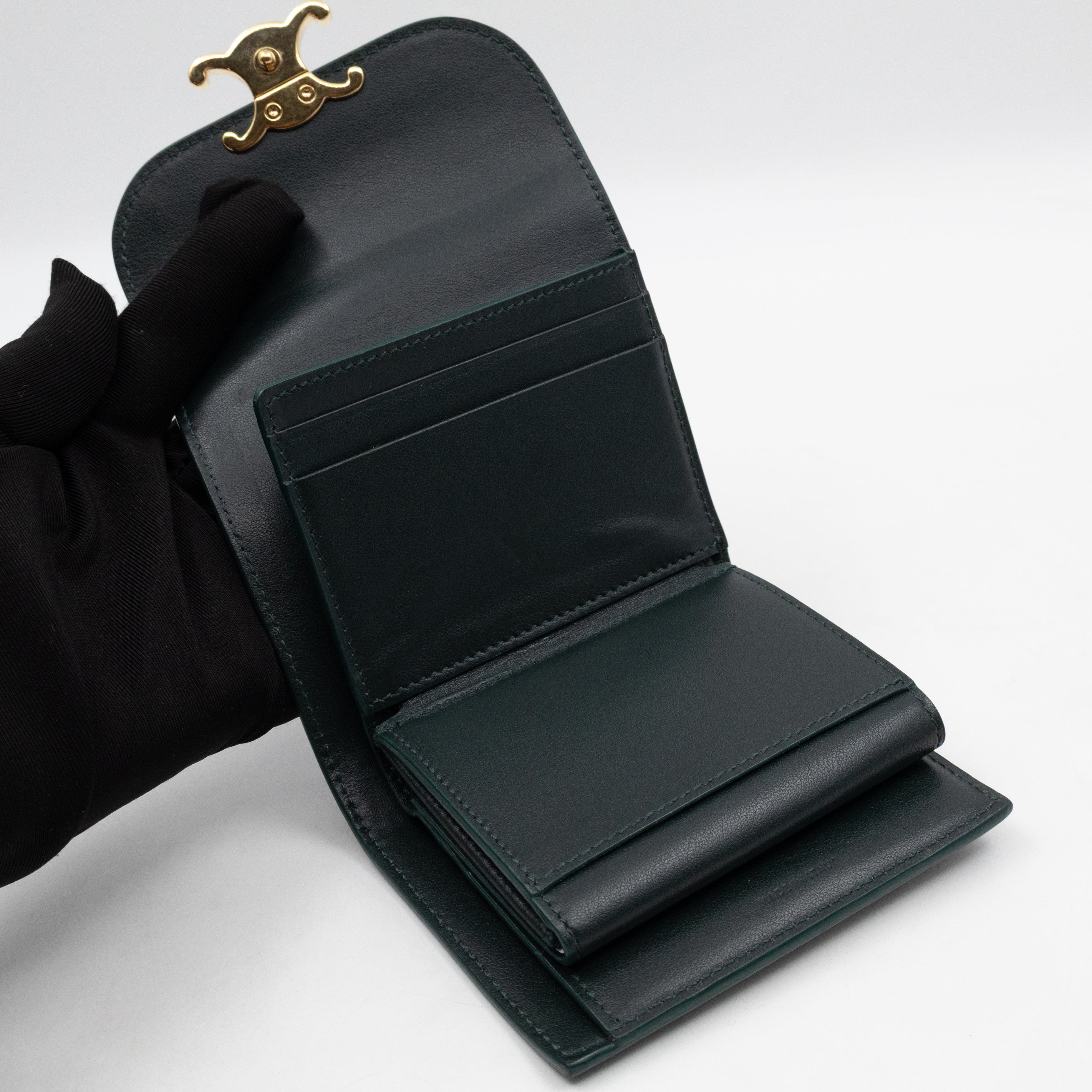 Triomphe Small Flap Wallet Amazone Leather