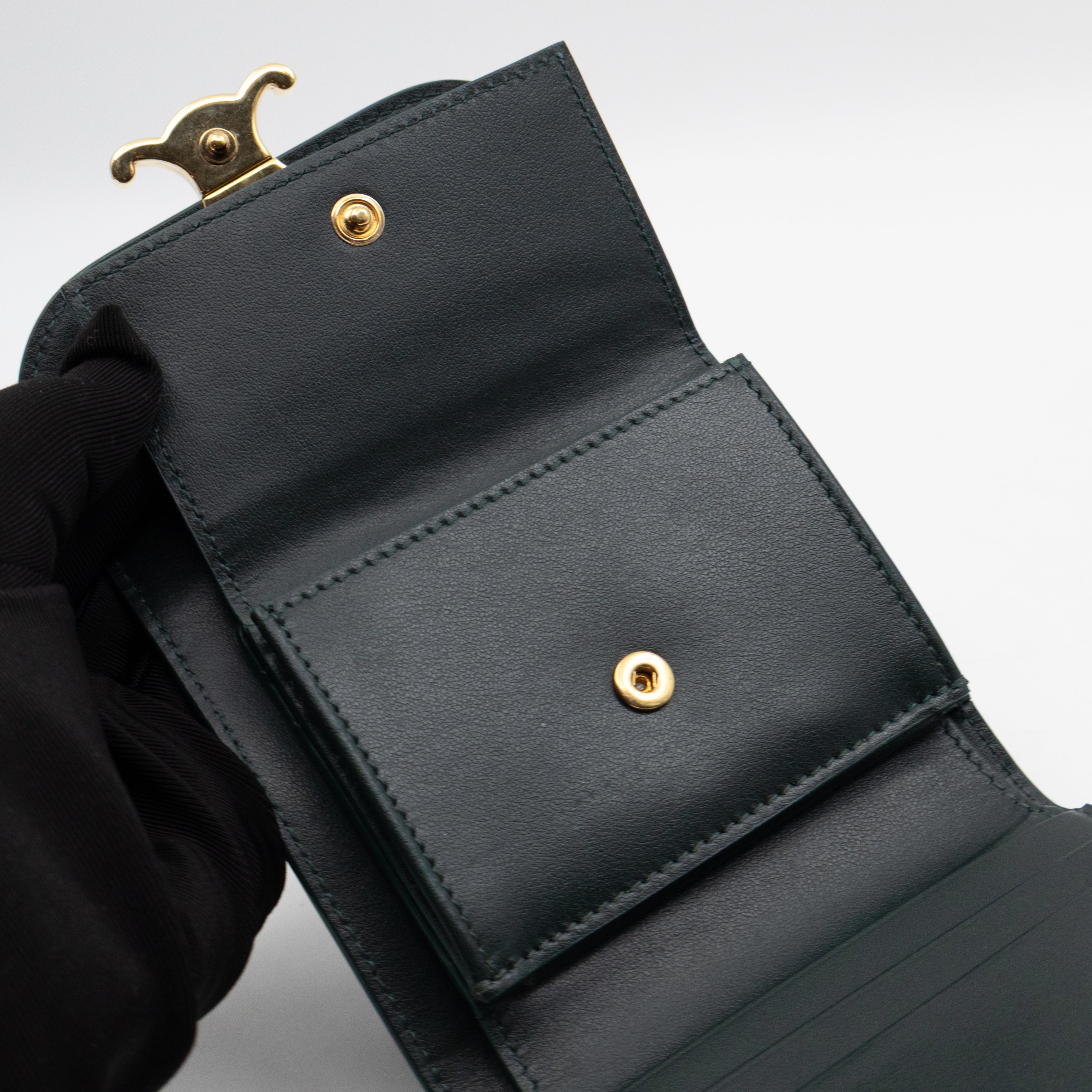Triomphe Small Flap Wallet Amazone Leather