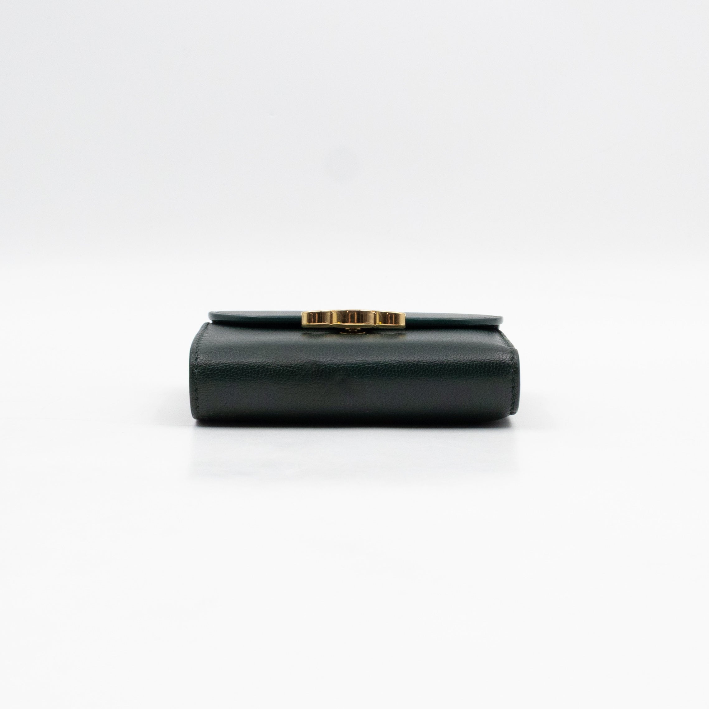 Triomphe Small Flap Wallet Amazone Leather