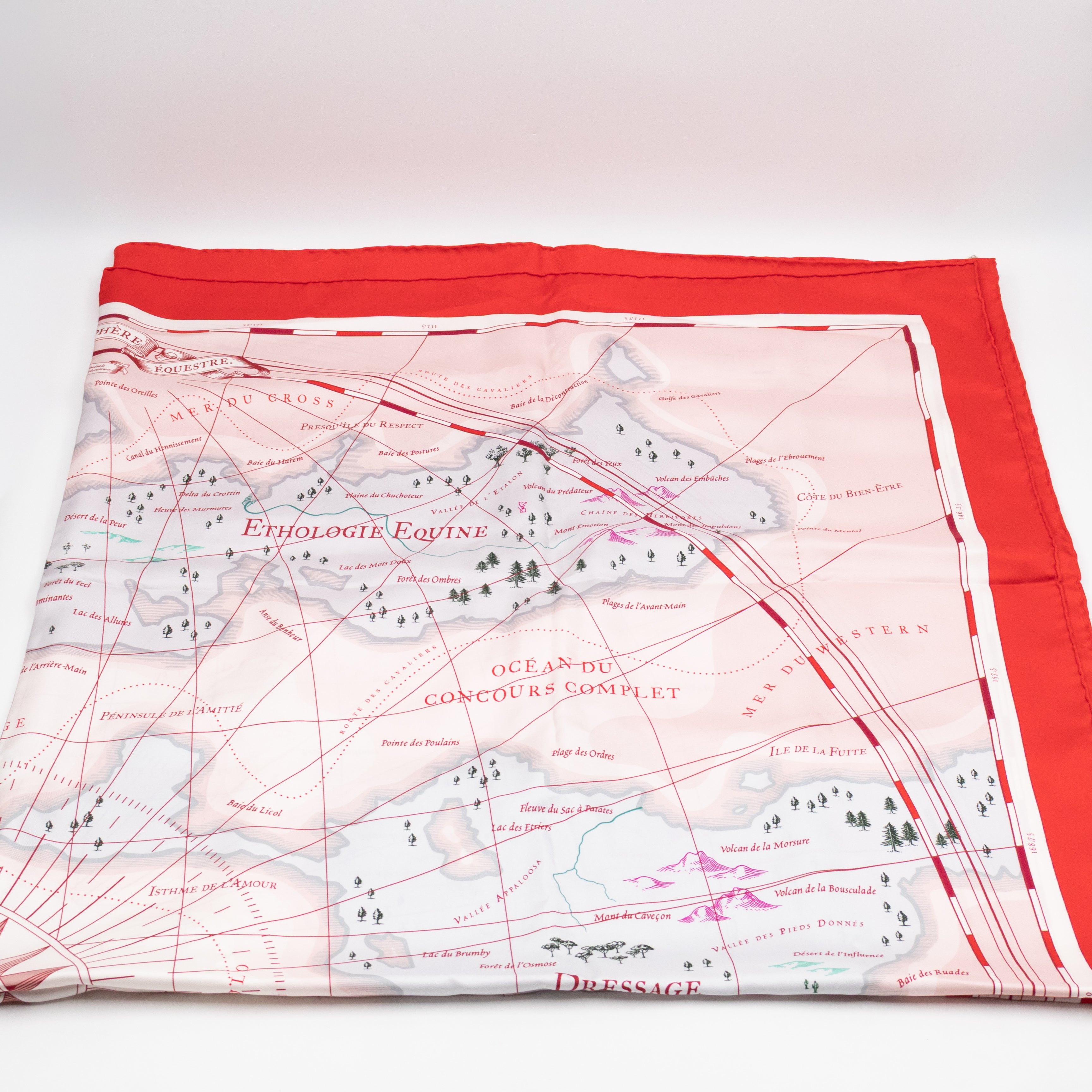 Carre Geant Silk Scarf 140 Planisphere d'un Monde Equestre Rose