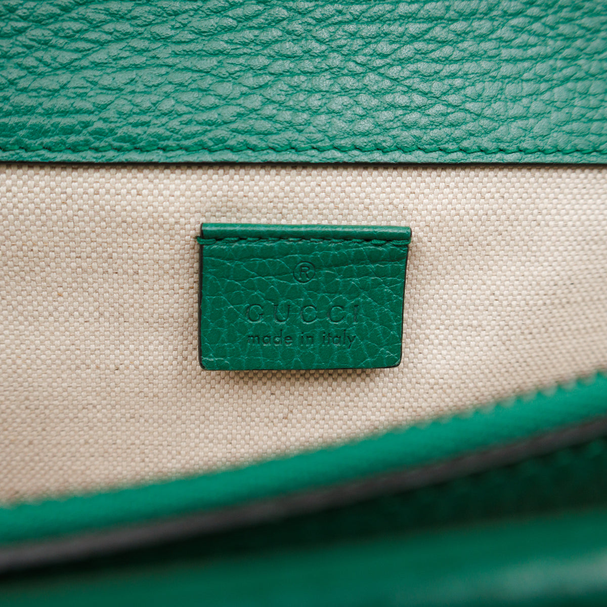 Dionysus Small Green Leather