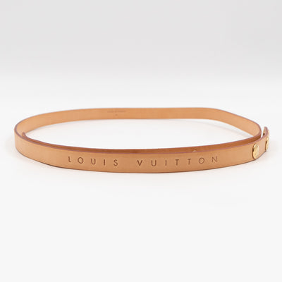 Florentine Belt Bag Monogram