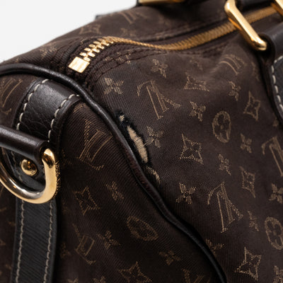 Speedy 30 Bandouliere Monogram Idylle Fusain