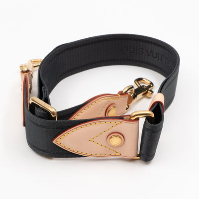 Speedy 30 Bandouliere Monogram Eden Argent