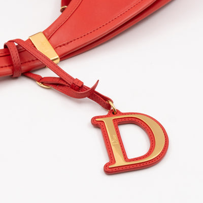 Diorita Hobo Bag Vermillion Orange Leather