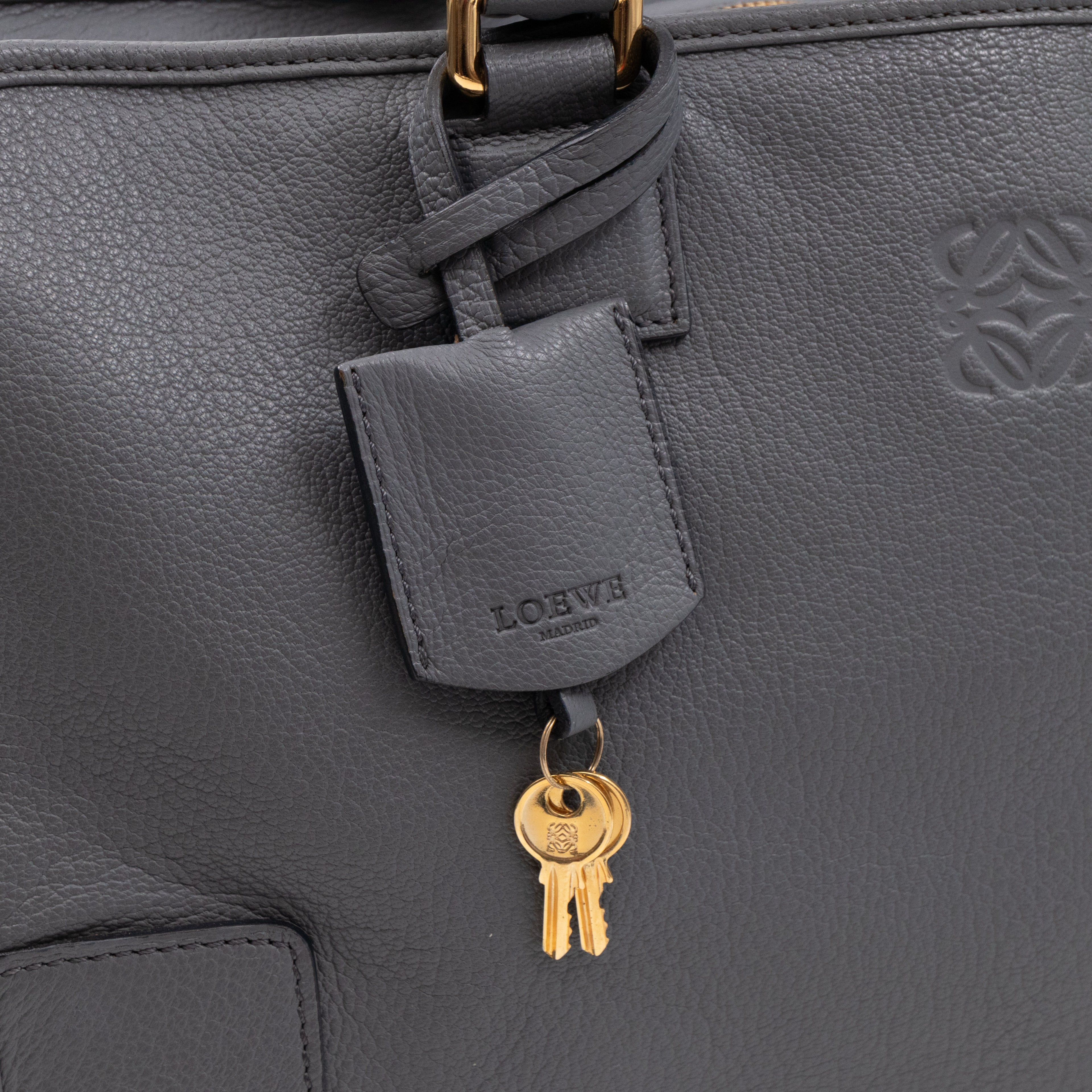 Amazona 36 Handbag Grey Leather