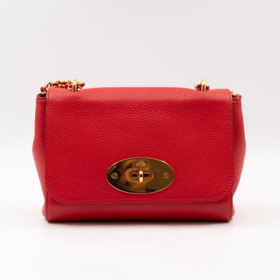 Lily Small Ruby Red Leather Gold