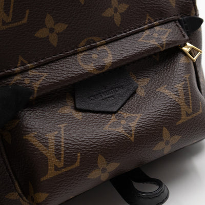 Palm Springs Backpack Mini Monogram Macassar