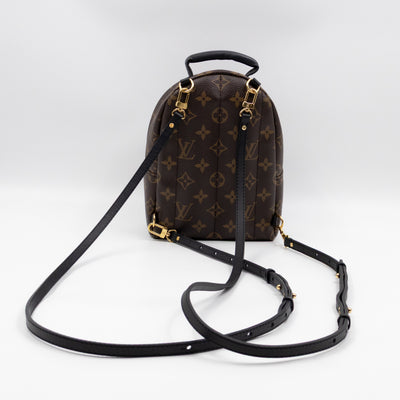 Palm Springs Backpack Mini Monogram Macassar