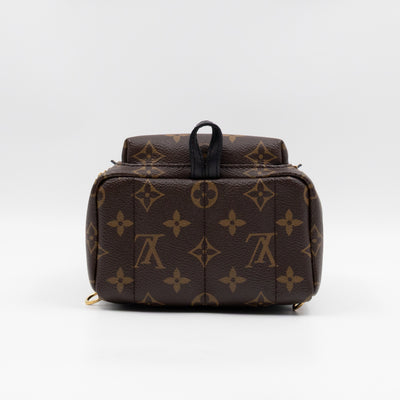 Palm Springs Backpack Mini Monogram Macassar