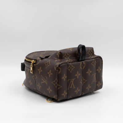 Palm Springs Backpack Mini Monogram Macassar