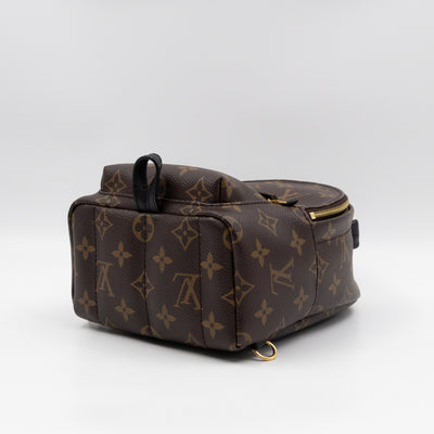 Palm Springs Backpack Mini Monogram Macassar