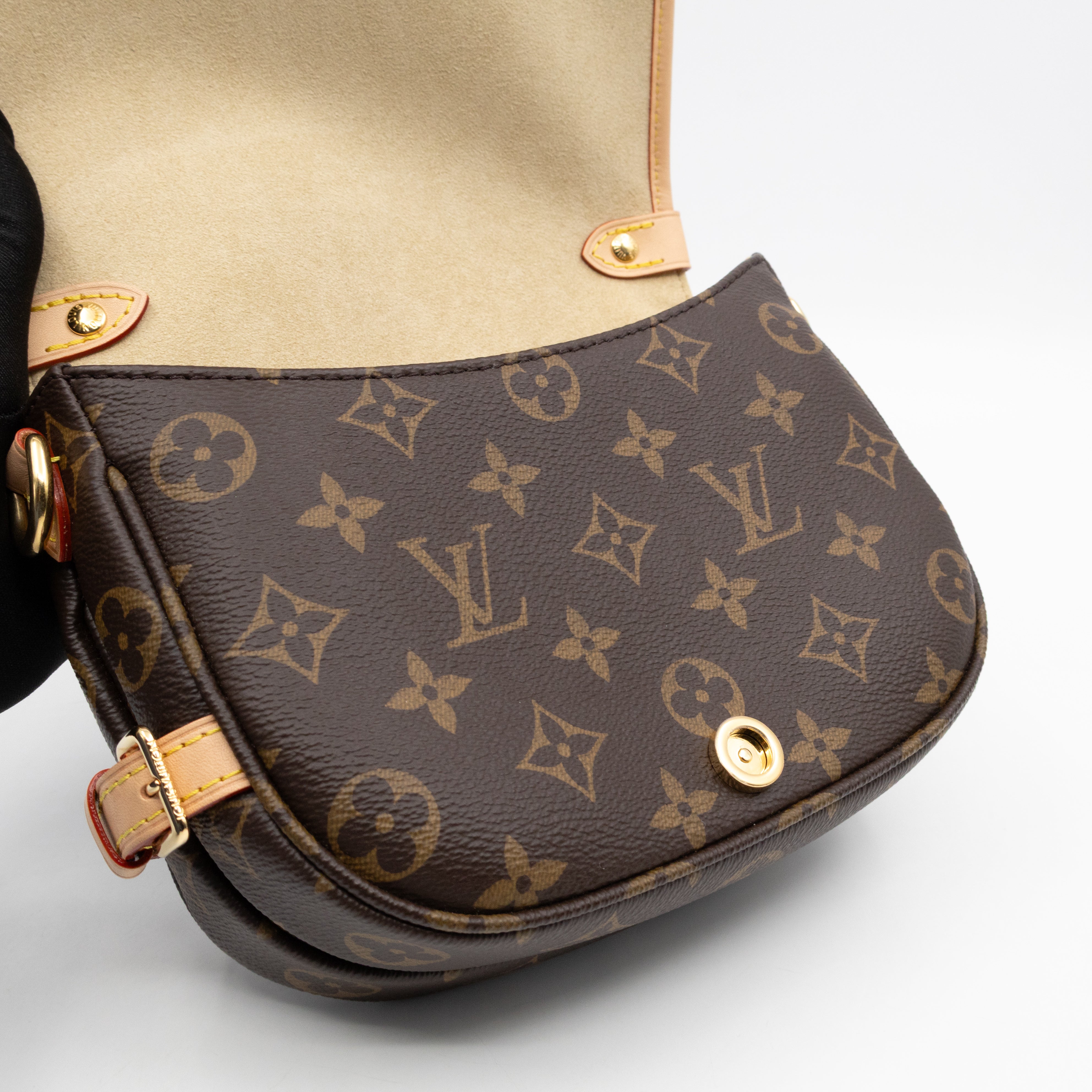 Saumur BB Monogram