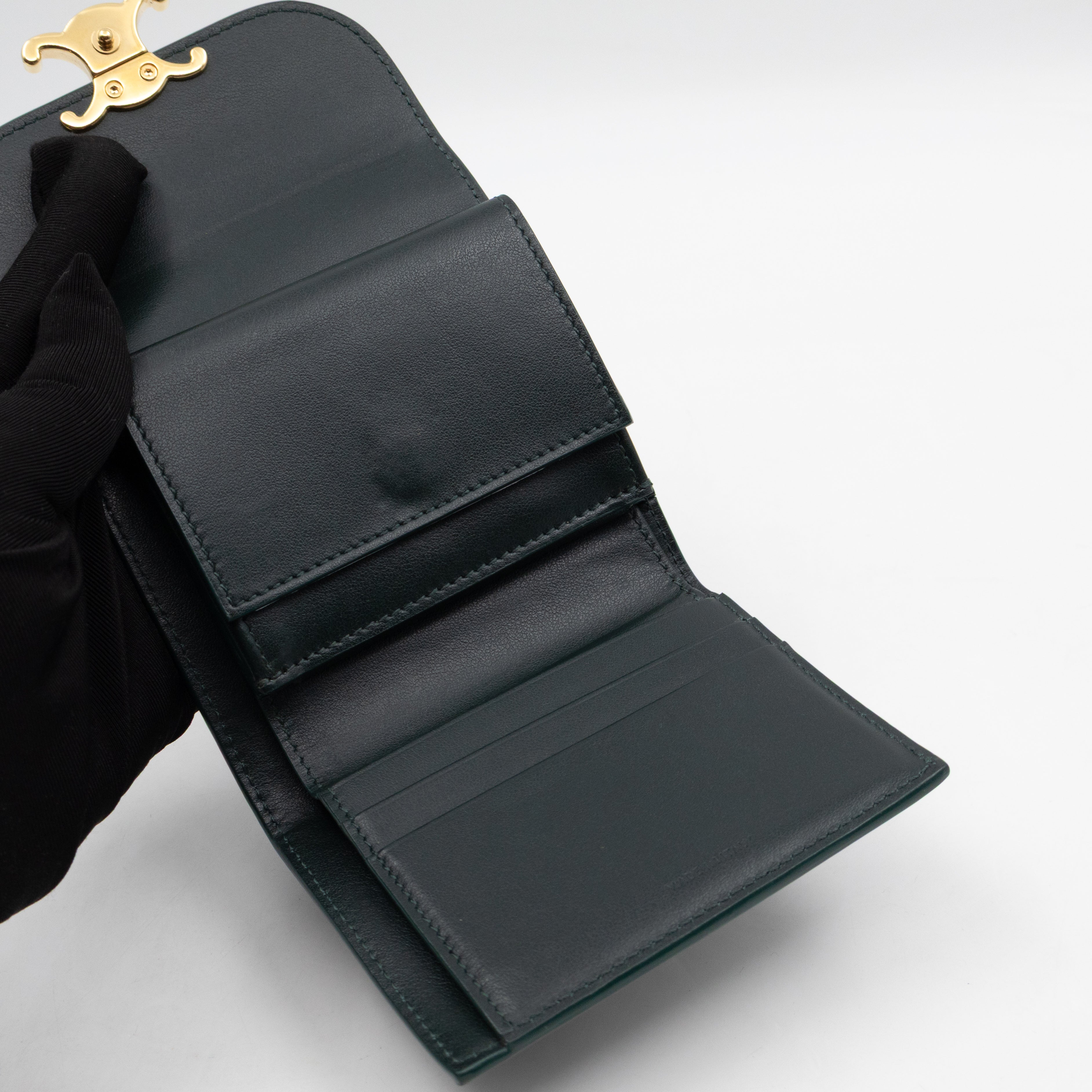 Triomphe Small Flap Wallet Amazone Leather