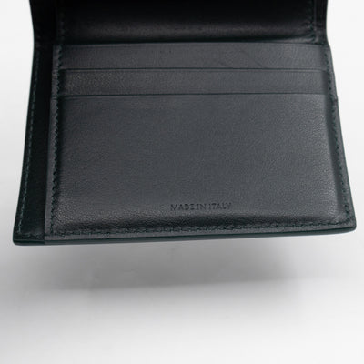 Triomphe Small Flap Wallet Amazone Leather