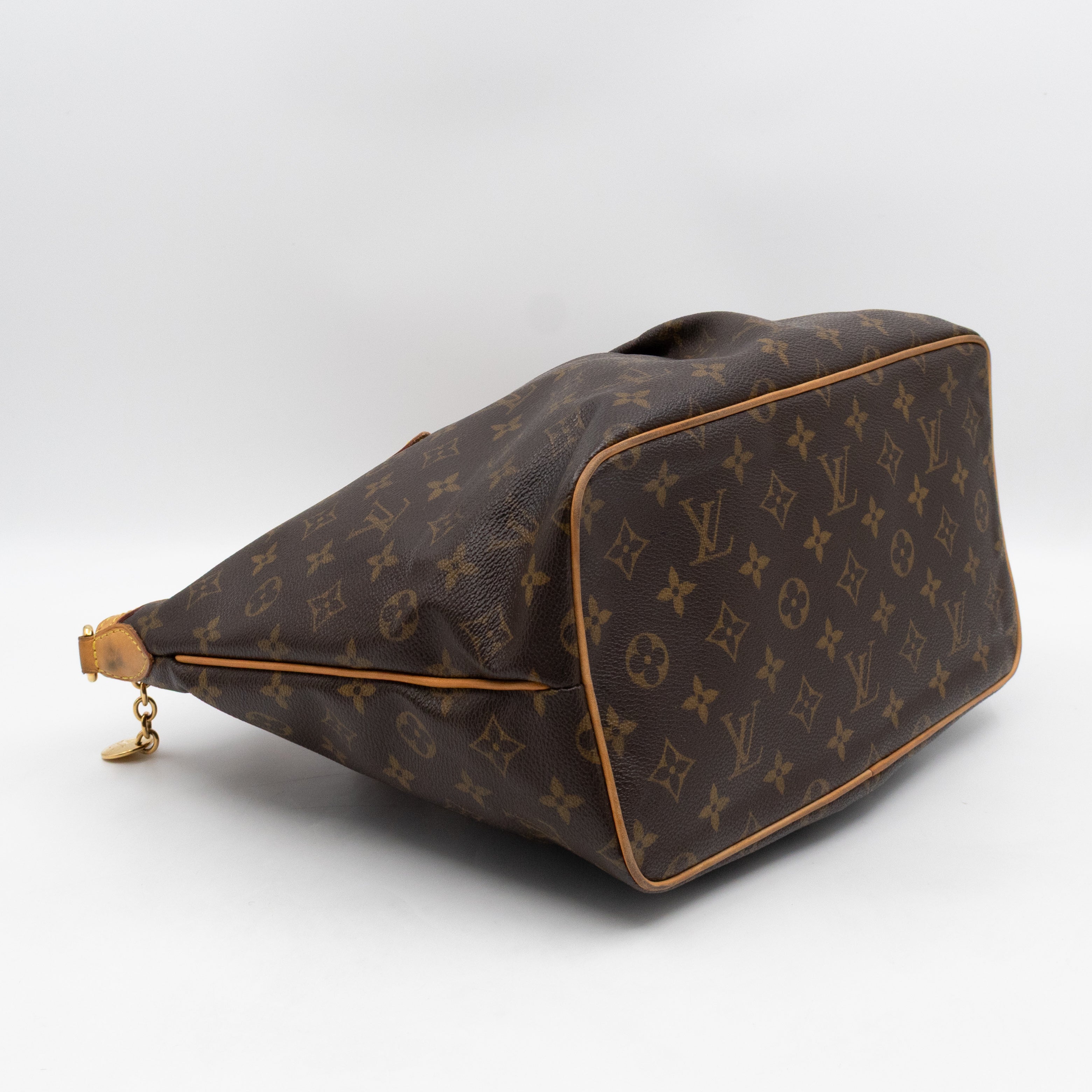 Palermo PM Monogram