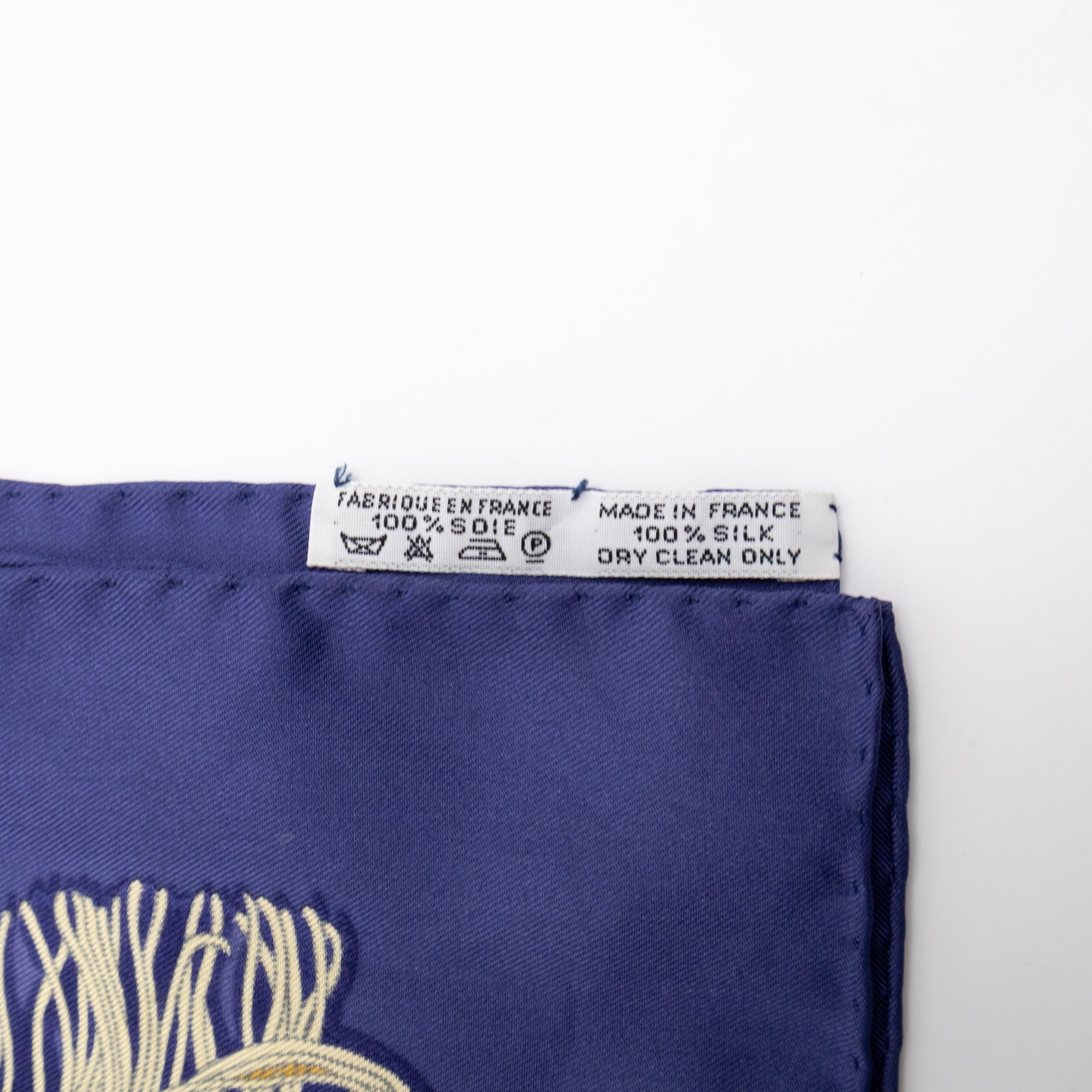 Silk Scarf 90 Plaisirs du Froid