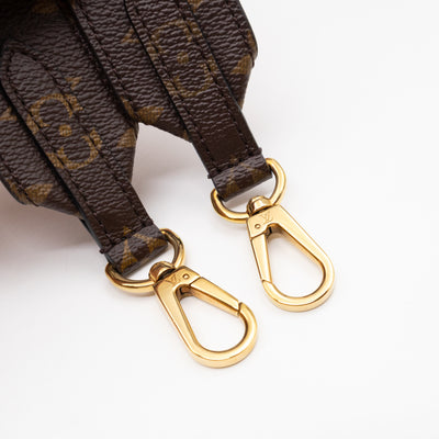 Bandoulière Monogram Rose Ballerine Shoulder Strap