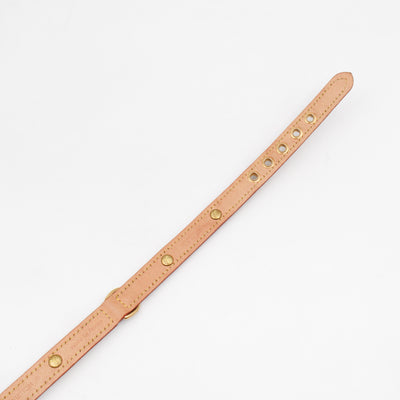 Baxter PM Dog Collar Monogram