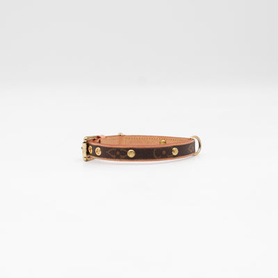 Baxter PM Dog Collar Monogram