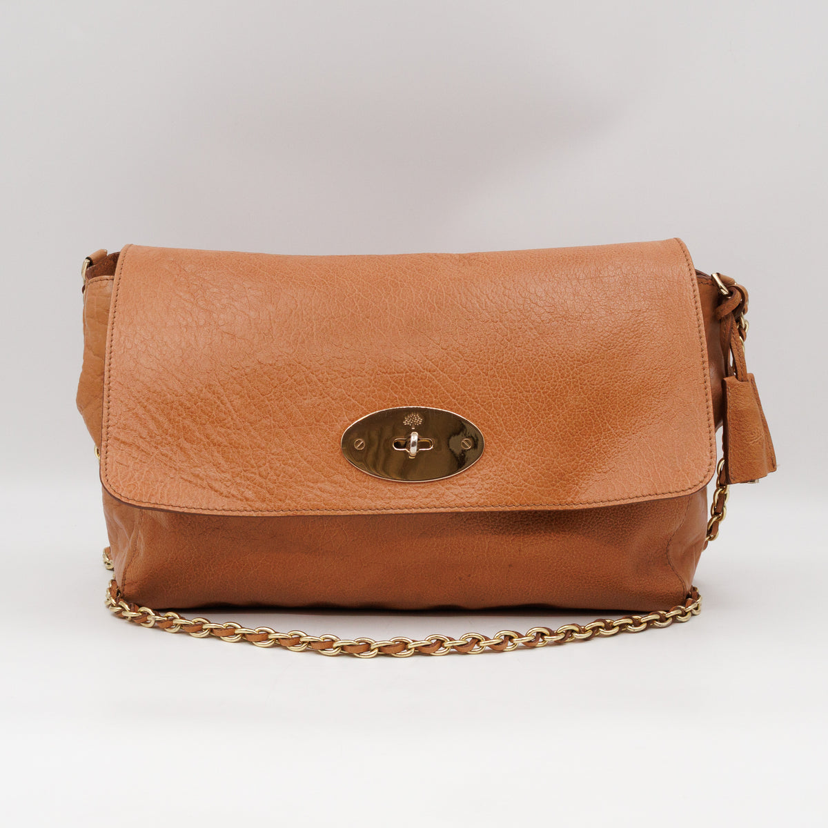 Lily Large Brown Calfskin Leather Gold