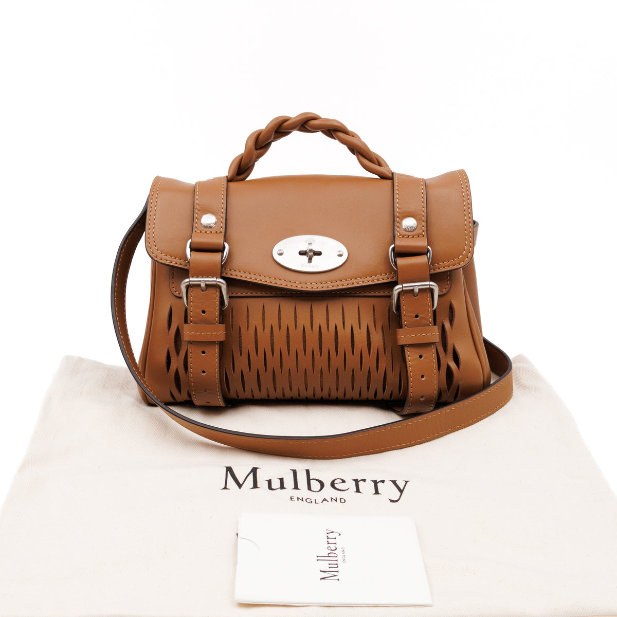Mini Alexa Teak Mesh Smooth Calfskin Leather