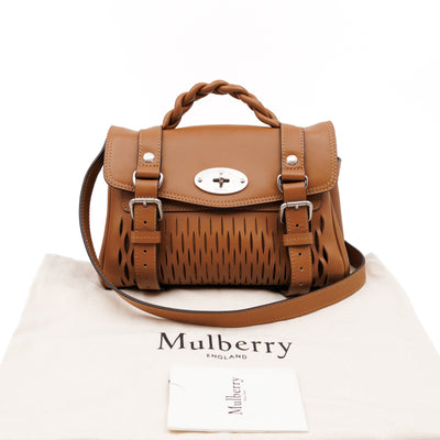Mini Alexa Teak Mesh Smooth Calfskin Leather