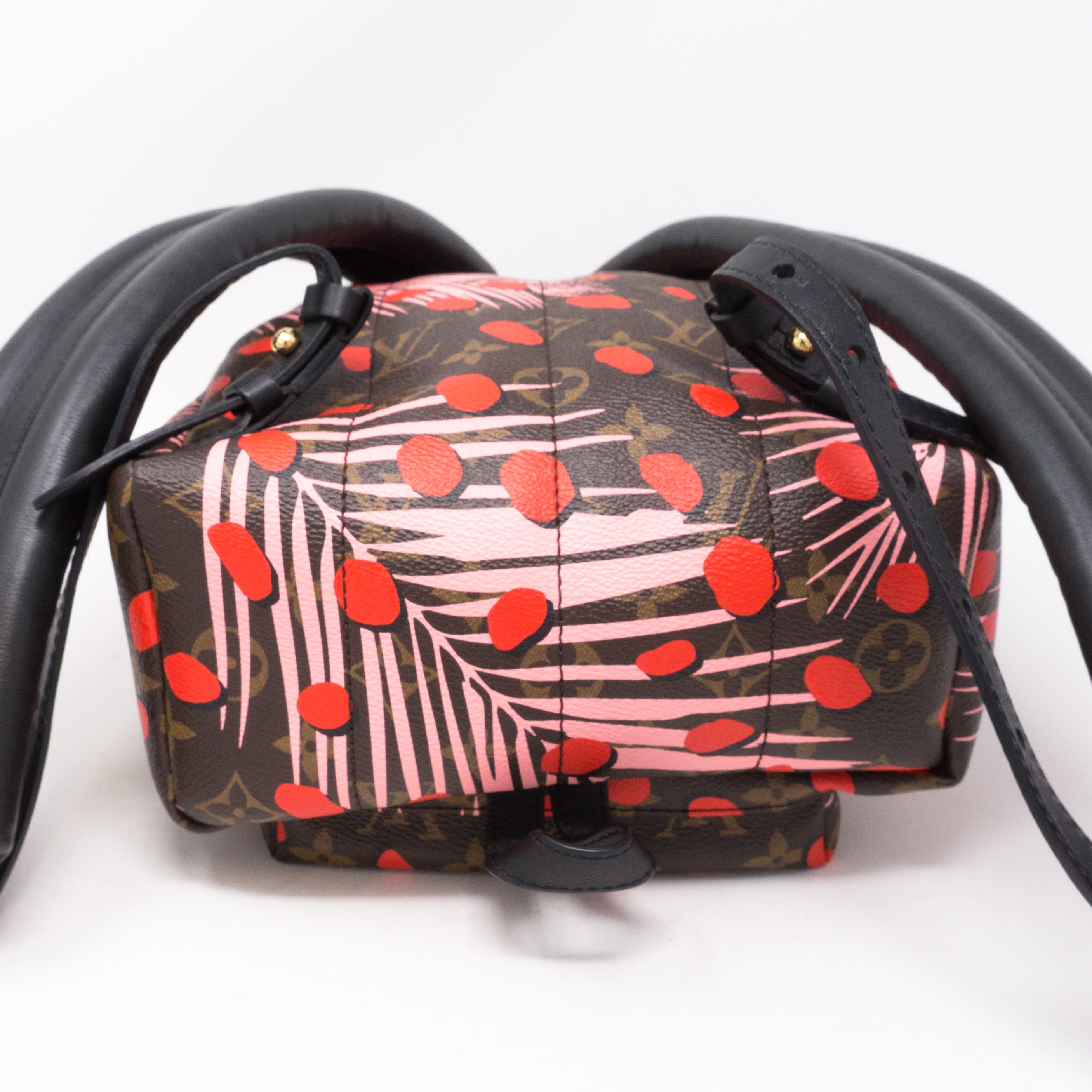 Palm Springs PM Backpack Monogram Jungle Dots