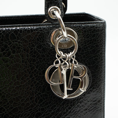 Lady Dior Medium Jeweled Swan Black Leather