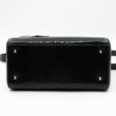 Lady Dior Medium Jeweled Swan Black Leather
